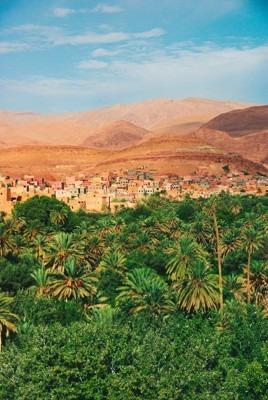 Visit Morocco in Spring