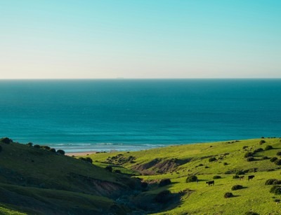 Visit Morocco in Spring