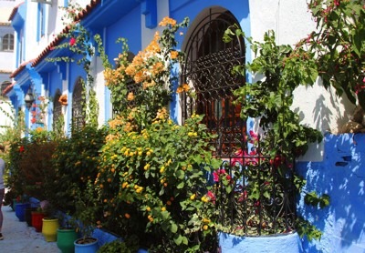 Visit Morocco in Spring