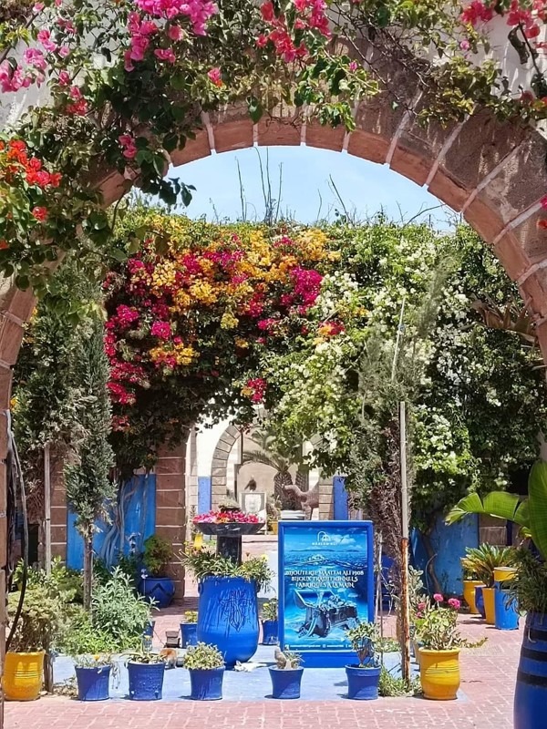 Accommodation, Essaouira, Morocco