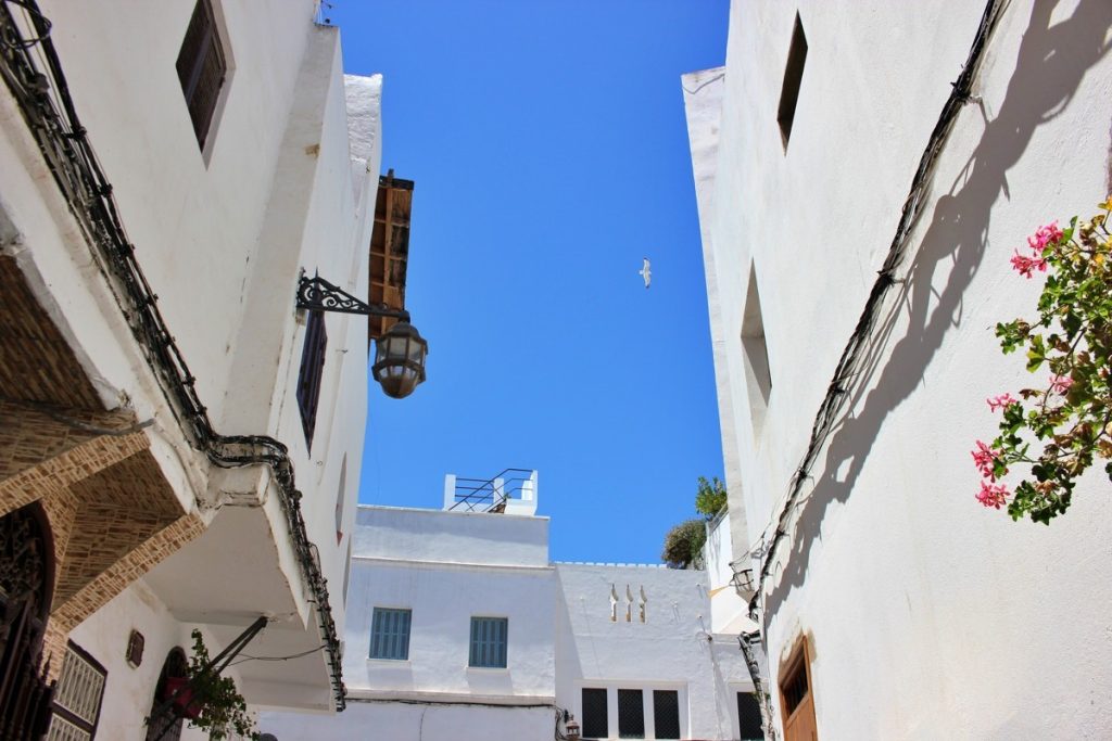 Andalusian Culture on Morocco