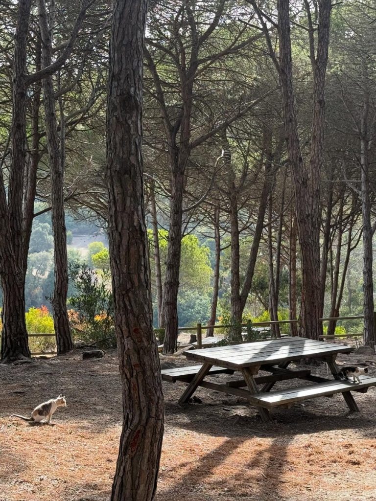 Beaches and Nature, Tangier, Morocco