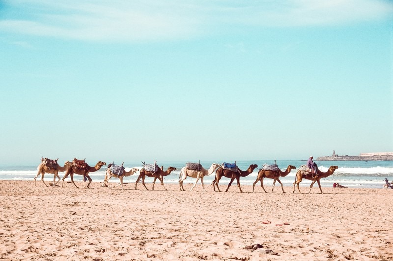 Beaches and Wind Sports, Essaouira, Morocco