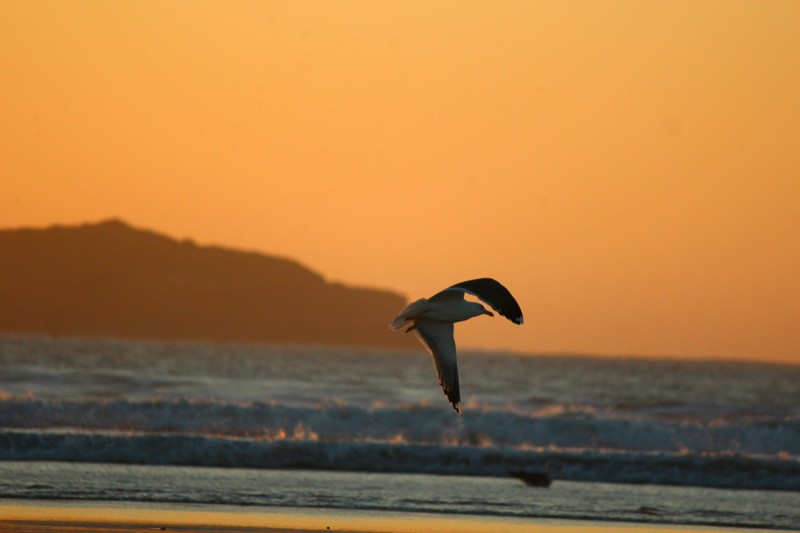 Beaches and Wind Sports, Essaouira, Morocco