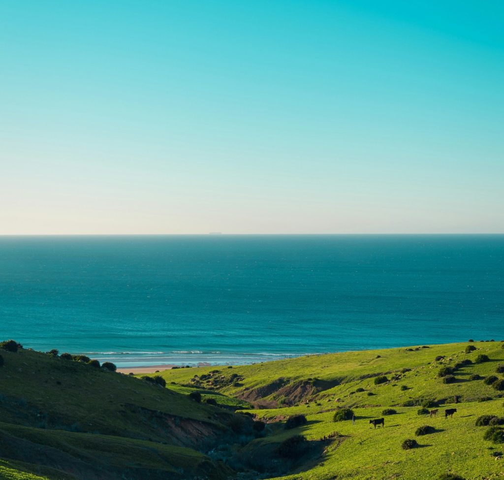 Beauty, Assilah, Morocco