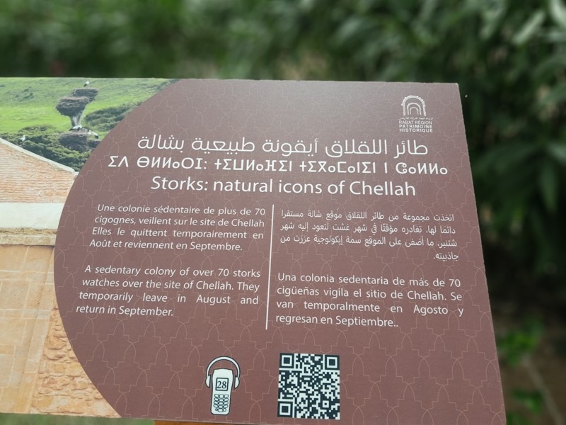 Chellah Necropolis, Rabat, Morocco