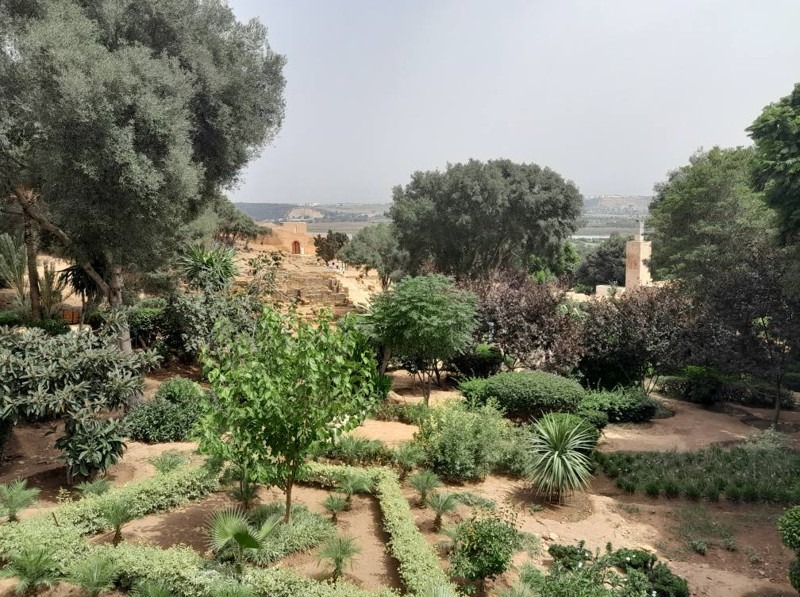Chellah Necropolis, Rabat, Morocco