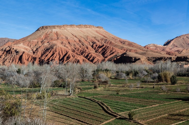 Dades Valley, Tinghir, Morocco