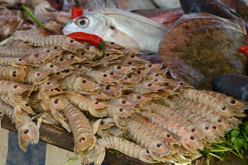 Fresh Fish and Local Flavors, Essaouira, Morocco