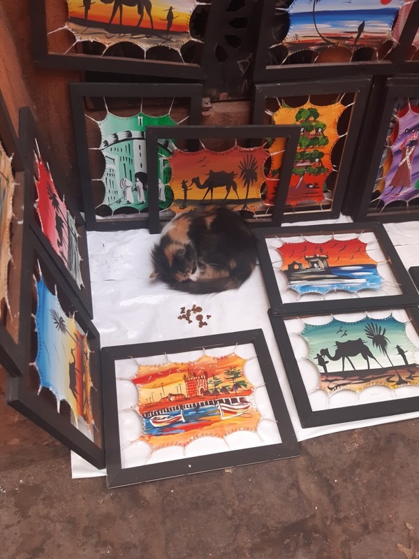 Galleries, Music, and Craftsmanship, Essaouira, Morocco