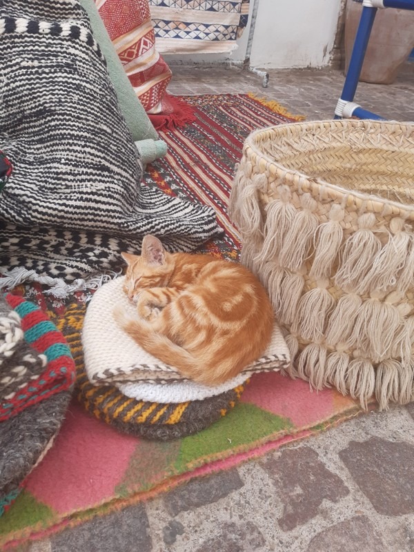 Galleries, Music, and Craftsmanship, Essaouira, Morocco