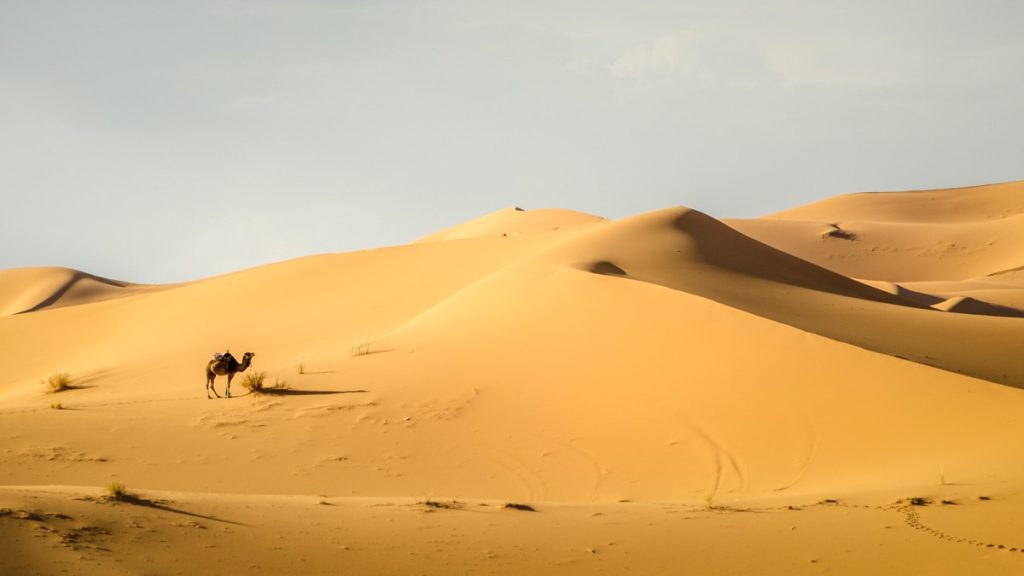 Golden Sea, Merzouga, Morocco
