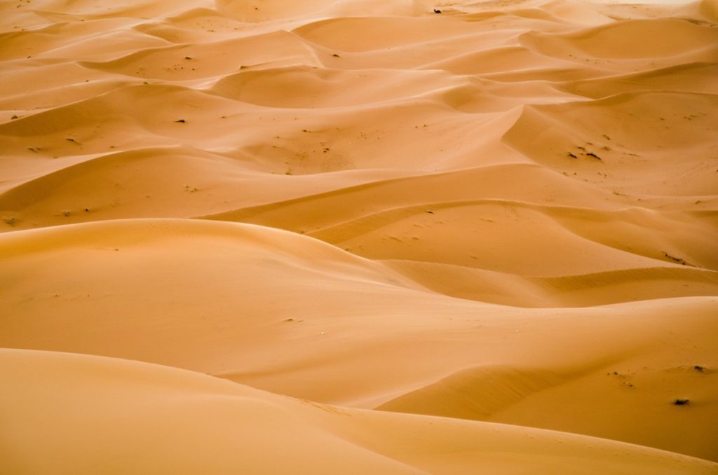 Golden Sea, Merzouga, Morocco