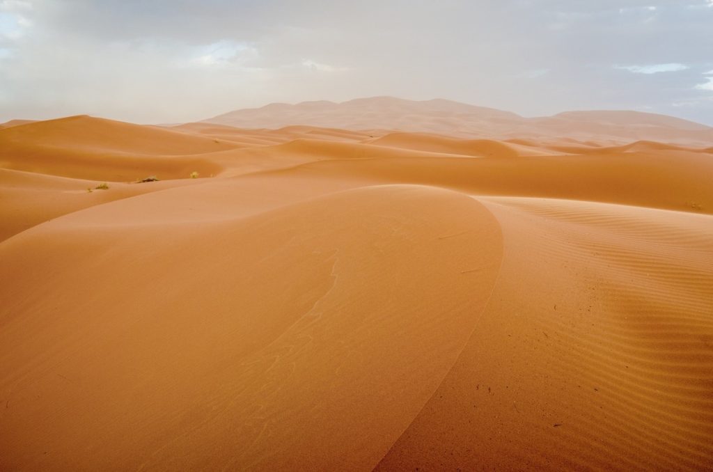 Golden Sea, Merzouga, Morocco