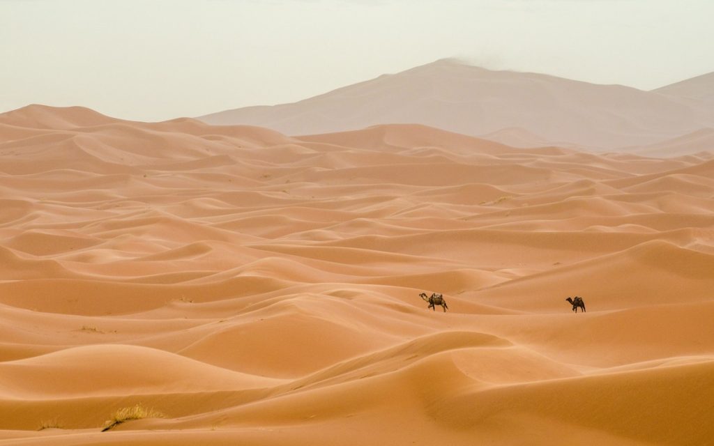 Golden Sea, Merzouga, Morocco