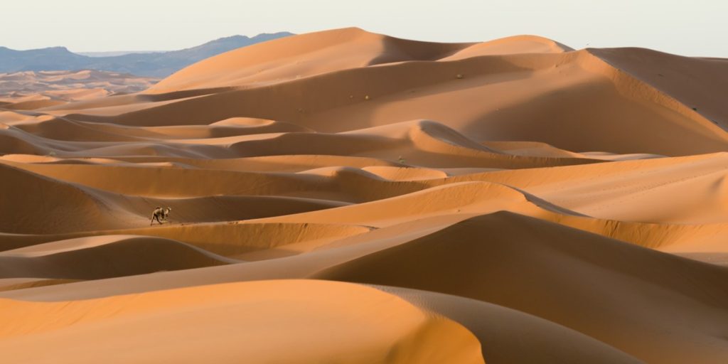 Golden Sea, Merzouga, Morocco