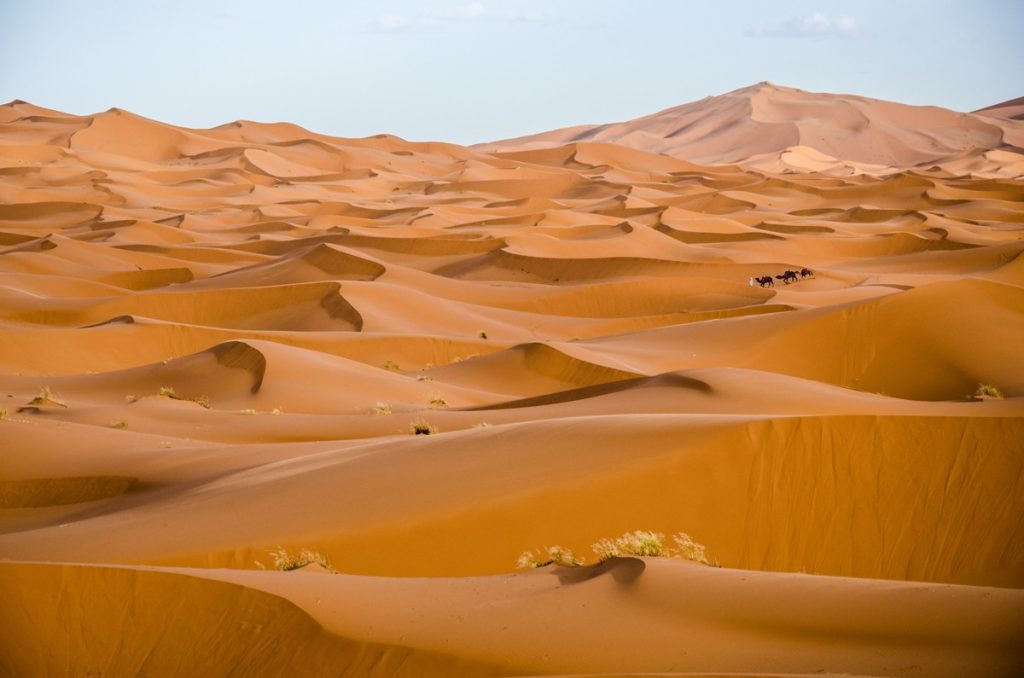 Golden Sea, Merzouga, Morocco