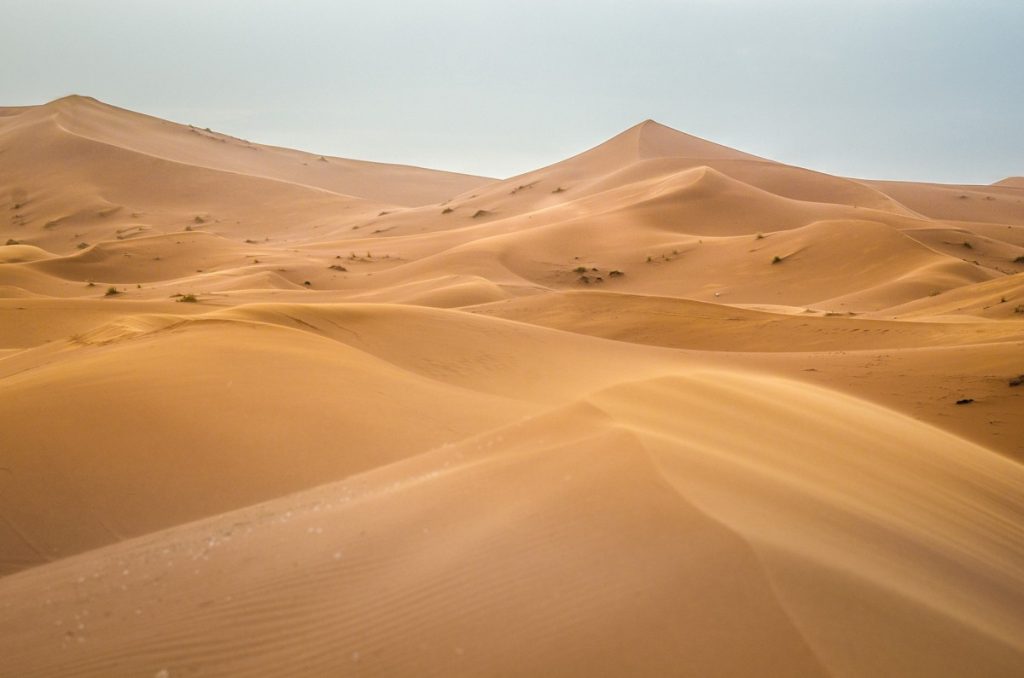 Golden Sea, Merzouga, Morocco