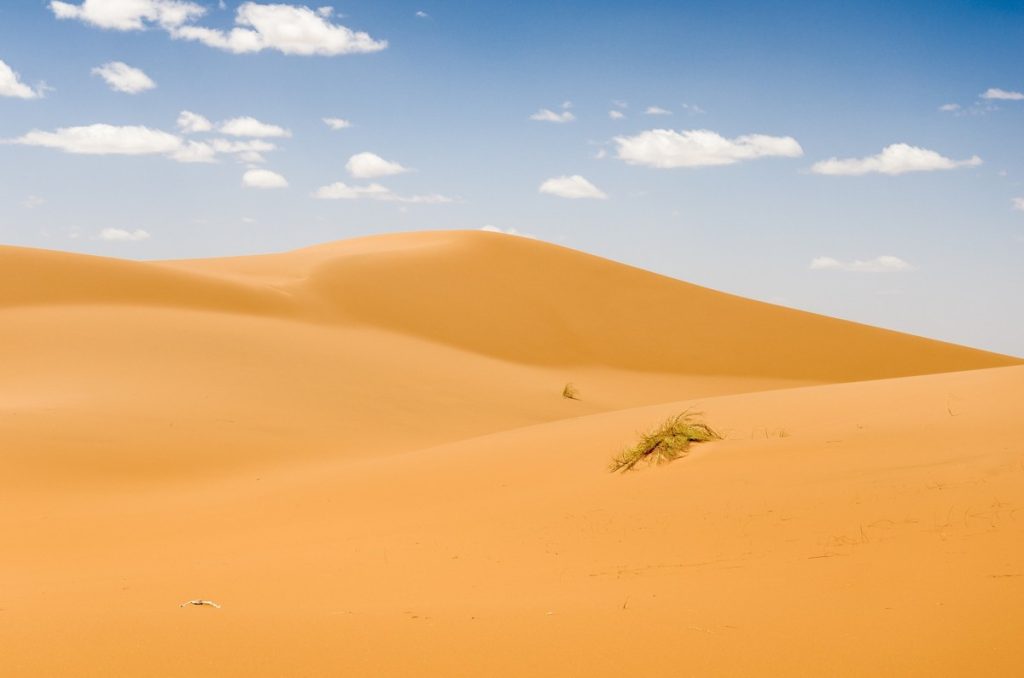 Golden Sea, Merzouga, Morocco
