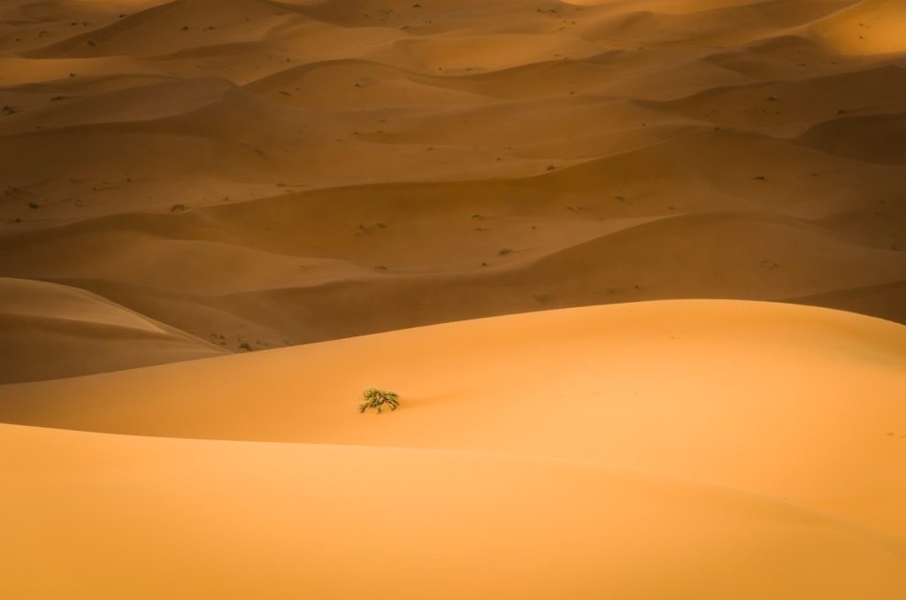 Golden Sea, Merzouga, Morocco