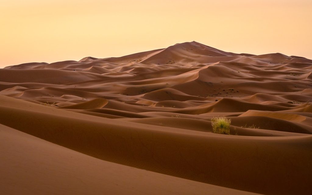 Golden Sea, Merzouga, Morocco