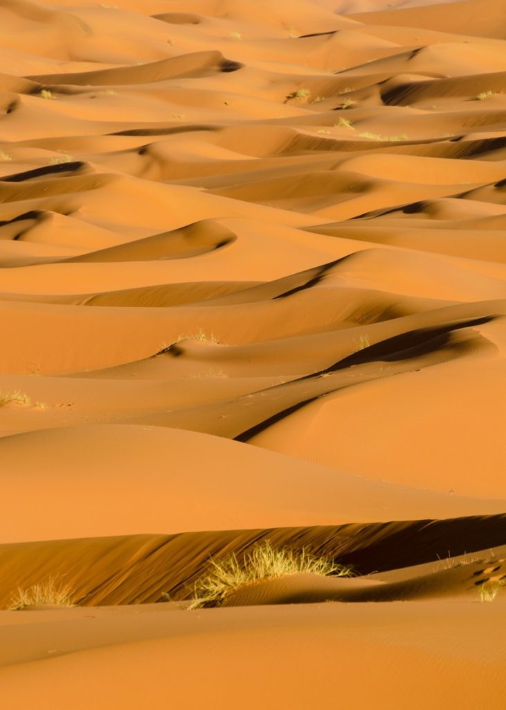 Golden Sea, Merzouga, Morocco