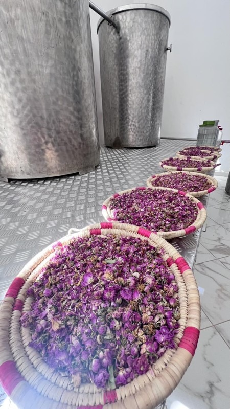 Kalaat M’Gouna, Dadès Gorge, Tinghir, Morocco