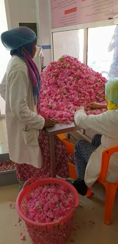 Kalaat M’Gouna, Dadès Gorge, Tinghir, Morocco
