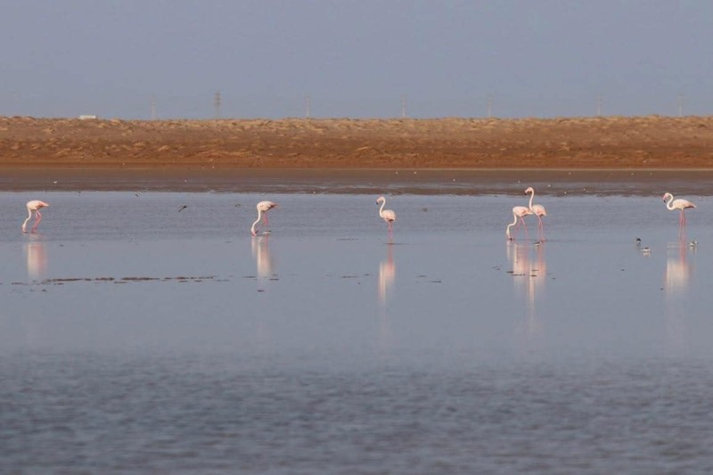 Kite Surfing in Dakhla, the Morocco’s wind paradise!