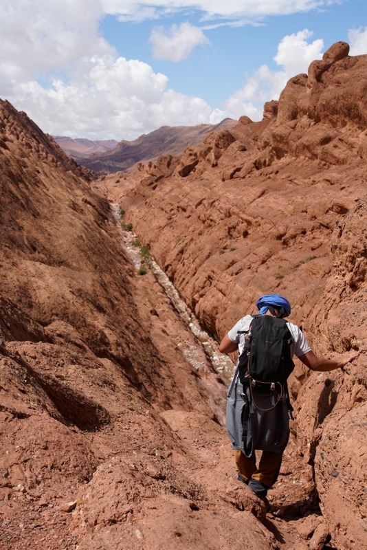 Monkey Fingers, Dades Gorge, Dades Valley, Tinghir , Morocco