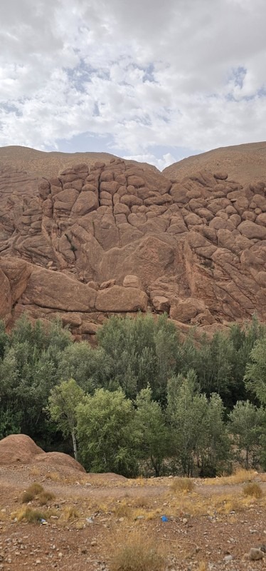 Monkey Fingers, Dades Gorge, Dades Valley, Tinghir , Morocco