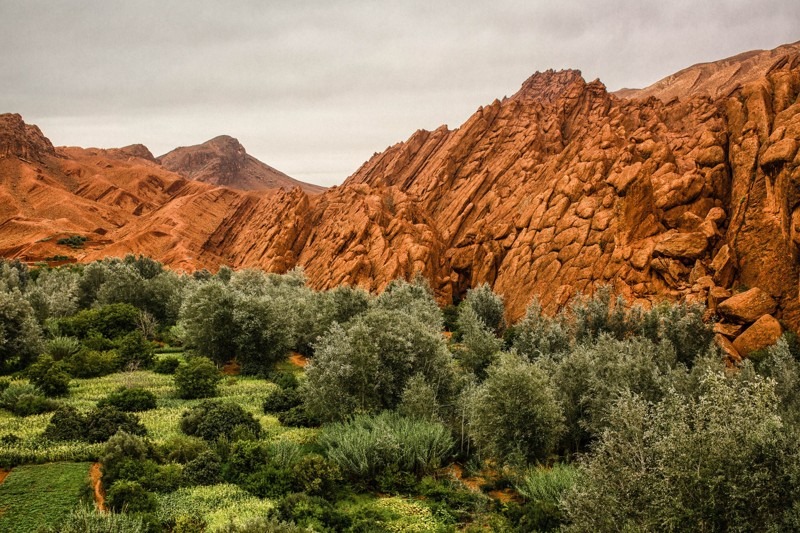 Monkey Fingers, Dades Gorge, Dades Valley, Tinghir , Morocco
