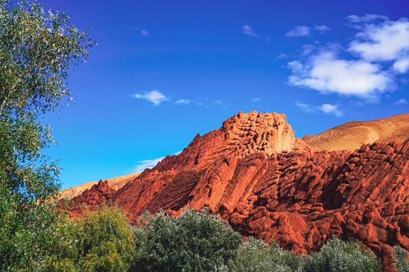 Monkey Fingers, Dades Gorge, Dades Valley, Tinghir , Morocco