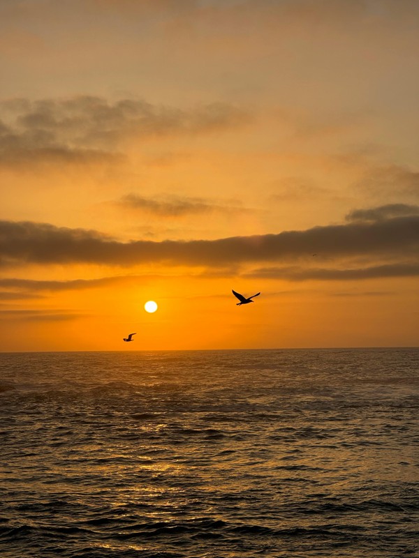 Oualidia Beach, Morocco
