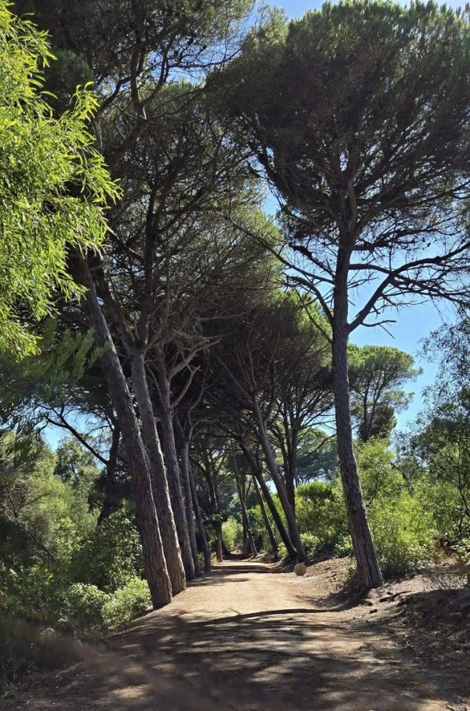 Parc Perdicaris, Tangier, Morocco
