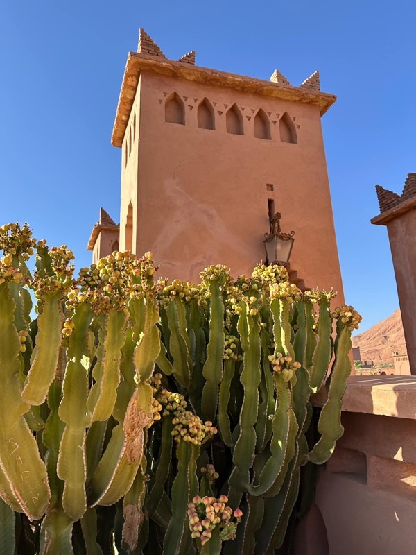 Riad Ksar Ighnda - The Architecture of Moroccan Riads