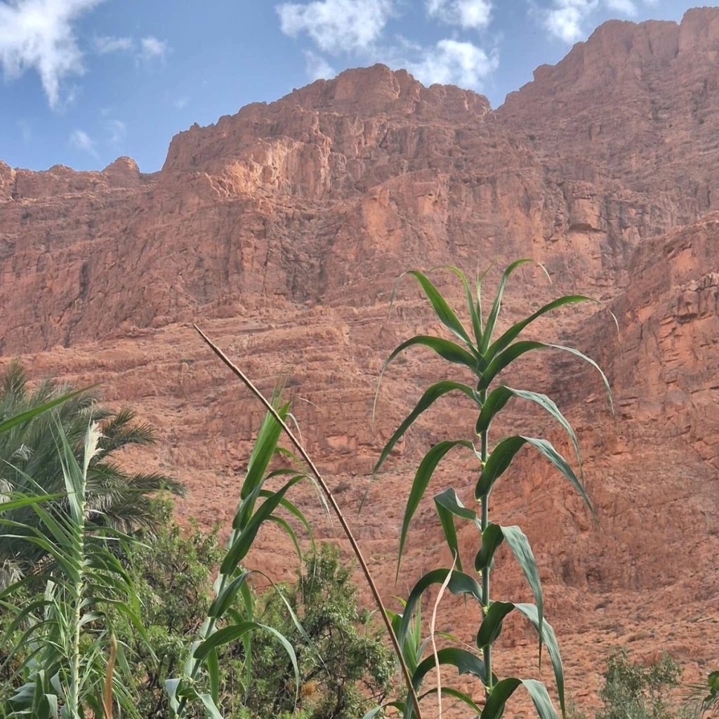 Rock Climbing in Todra Gorge, Tinghir, Morocco