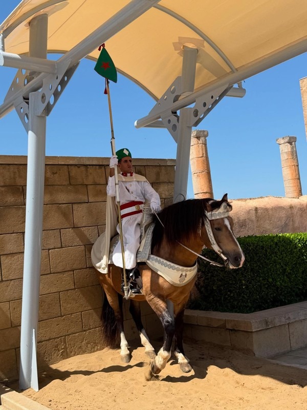 Royal Guards, Sultan’s Mausoleum, Rabat, Morocco