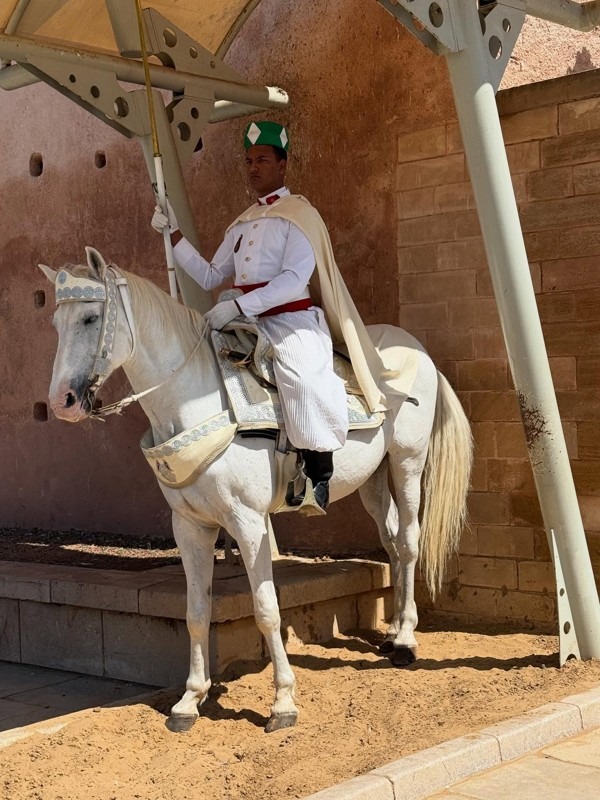 Royal Guards, Sultan’s Mausoleum, Rabat, Morocco