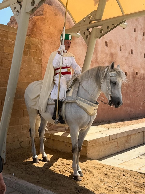 Royal Guards, Sultan’s Mausoleum, Rabat, Morocco