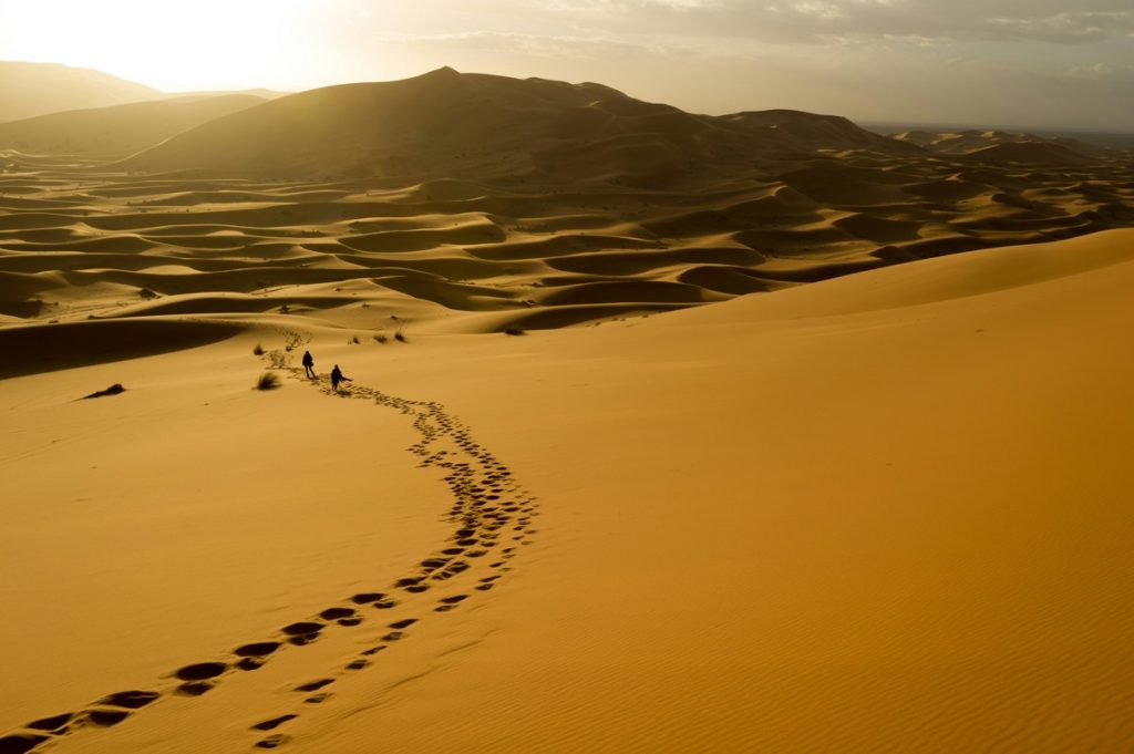 Sandboarding, Merzouga, Morocco