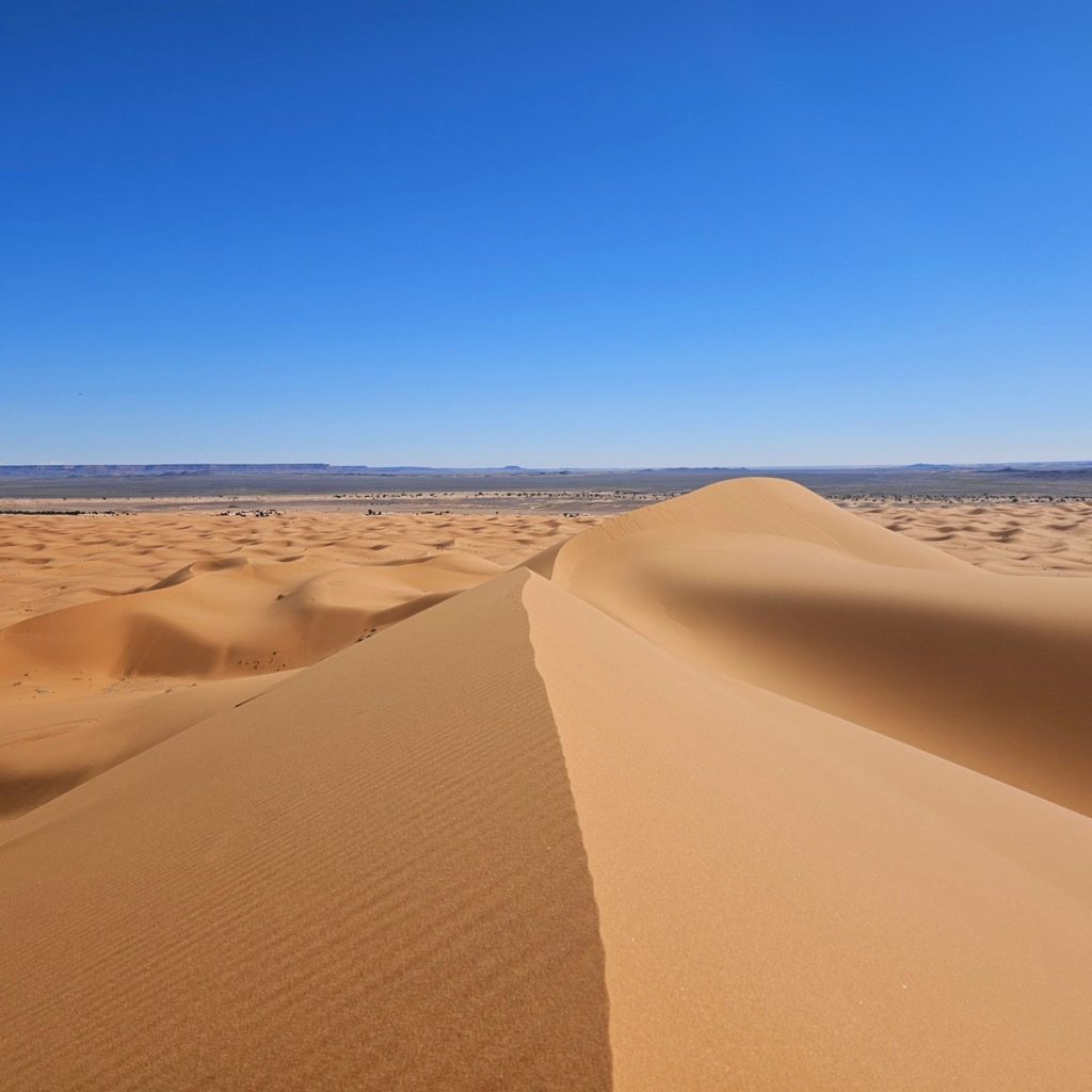Sandboarding, Merzouga, Morocco
