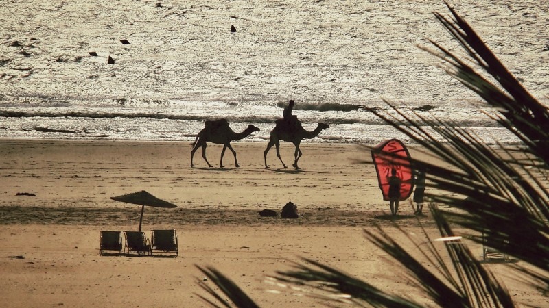 Surf, Sidi Kaouki, Morocco