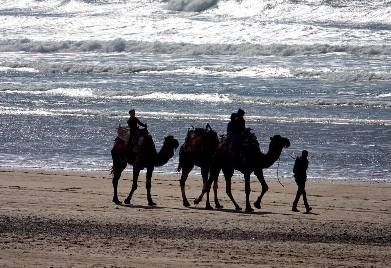 Surf, Sidi Kaouki, Morocco
