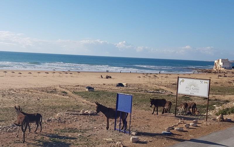 Surf, Sidi Kaouki, Morocco