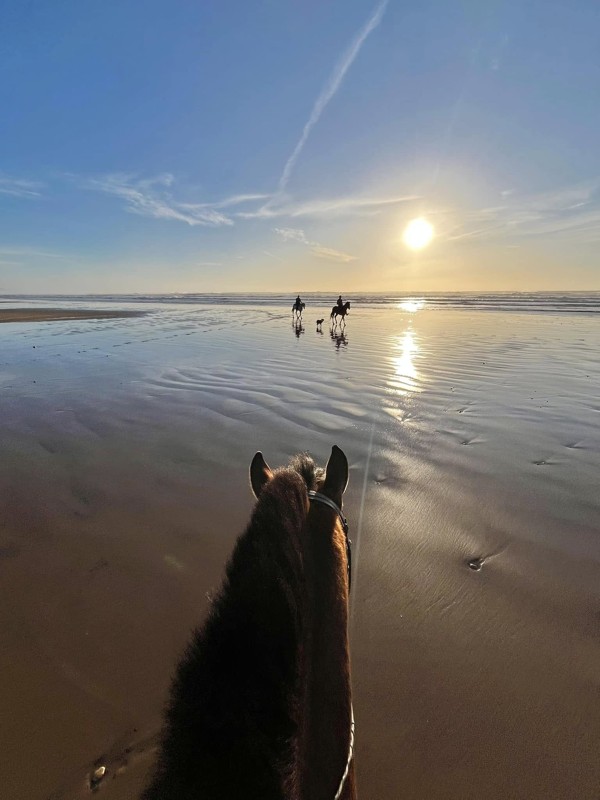 Surf, Sidi Kaouki, Morocco