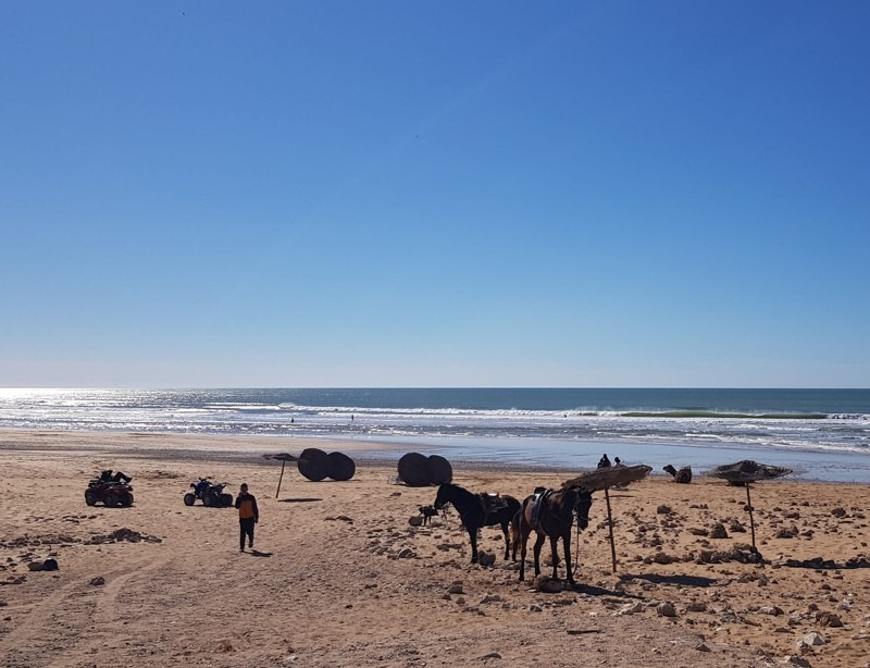Surf, Sidi Kaouki, Morocco