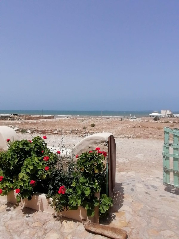 Surf, Sidi Kaouki, Morocco