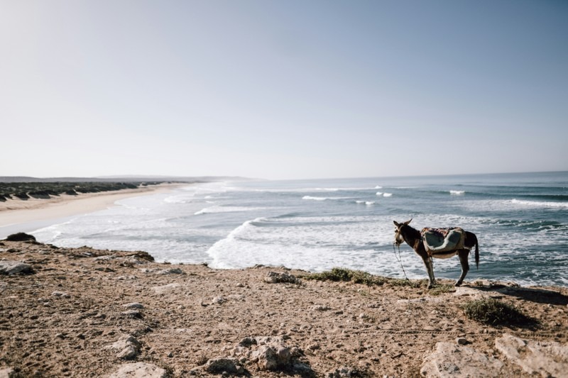 Surf, Sidi Kaouki, Morocco