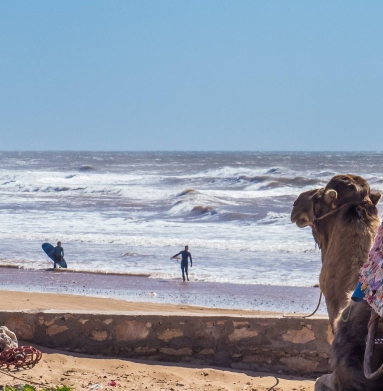 Surf, Sidi Kaouki, Morocco